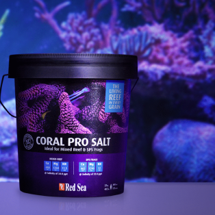 Aquarium Essentials